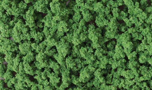 146 Bushes Foliage/Medium Green