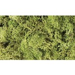 Woodland Scenics 162 Lichen - Light Green 1 qt Bag