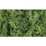 Woodland Scenics 163 Lichen/Medium Green