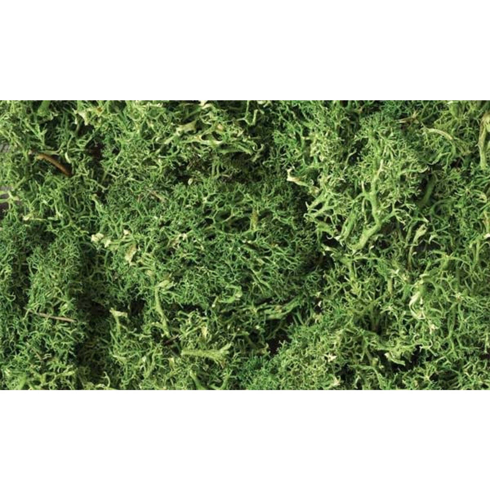 Woodland Scenics 163 Lichen/Medium Green