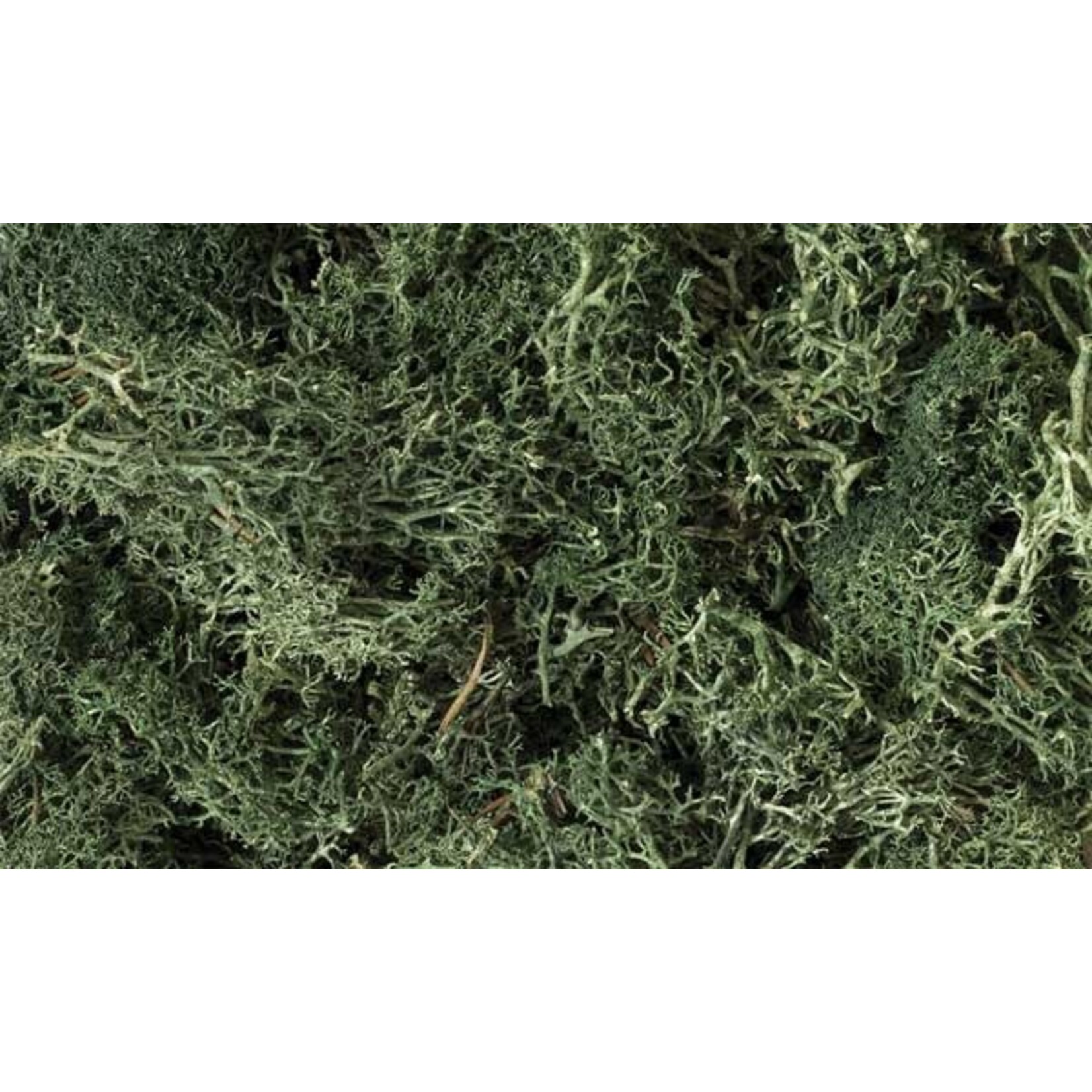 Woodland Scenics 164 Lichen/Dark Green