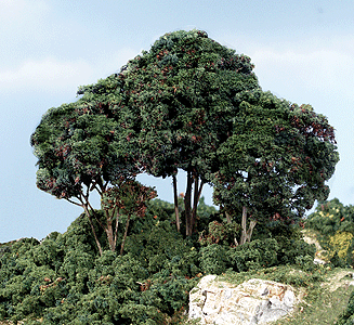 1662 Dark Green Forest Canopy