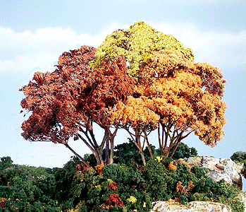 1663 Autumn Mix Forest Canopy