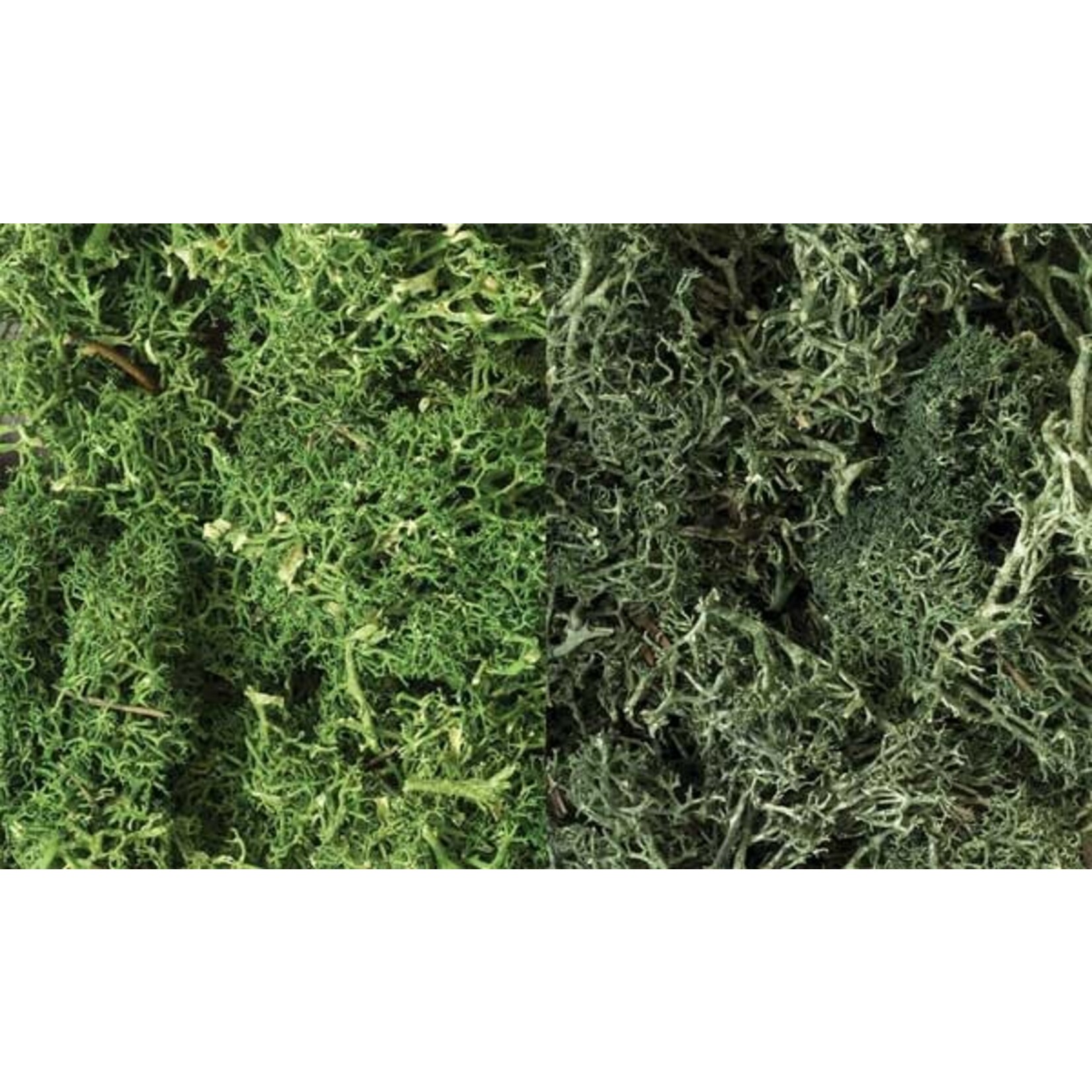 Woodland Scenics 168 Lichen - Dark Green Mix