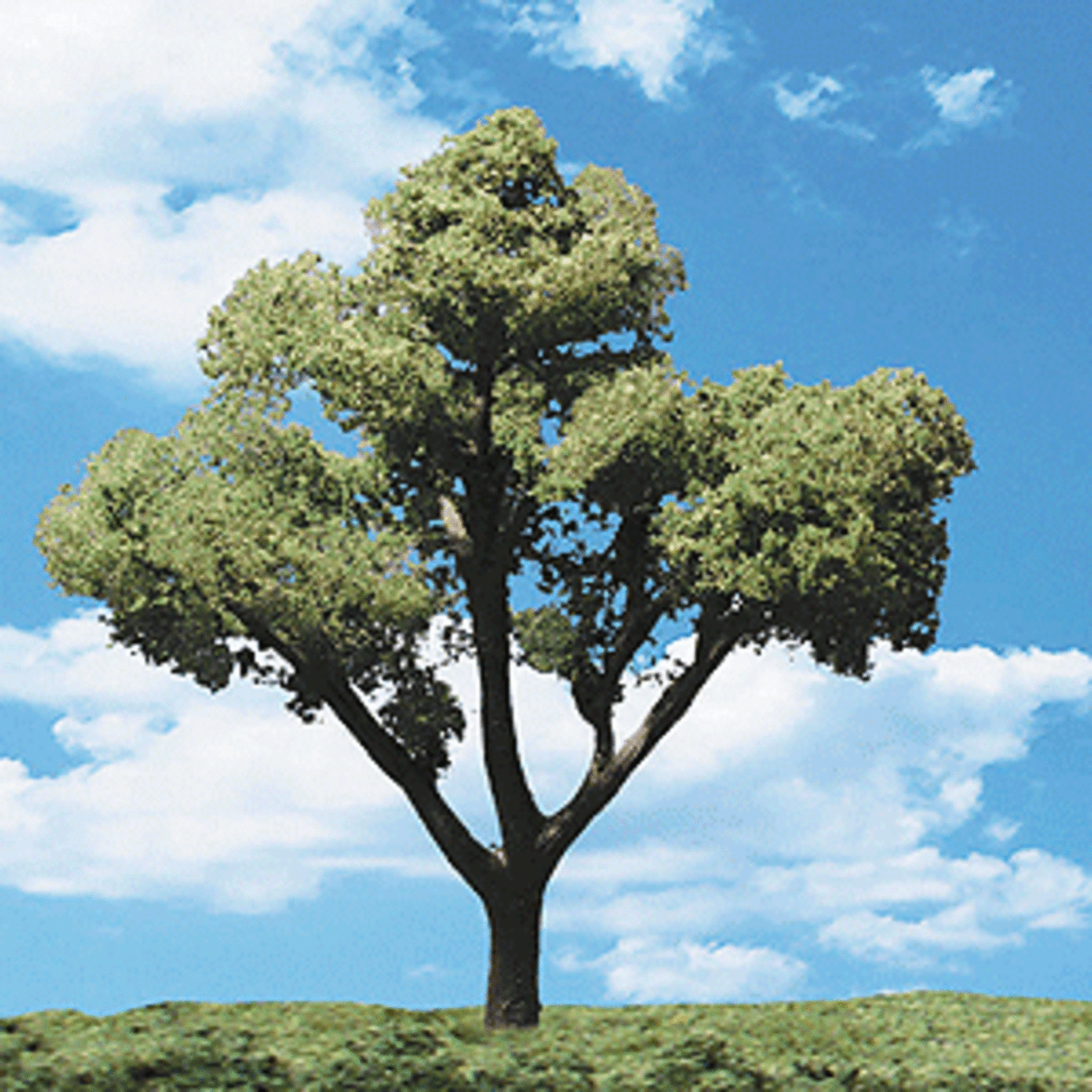 Woodland Scenics 3546 1 1/4"-2" Early Light - 5 Pack Trees