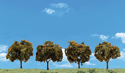 3592 2"-3" Orange Trees - 4 pack