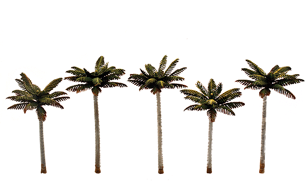 3597 3"-3 3/4" Small Palm Trees - 5 Pack