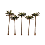 Woodland Scenics 3598 4 3/4"-5 1/4" LG PALM TREE 5/PK