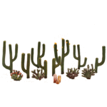 Woodland Scenics 3600 1/2"-2 1/2" CACTUS PLANTS 13/PK