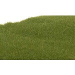 Woodland Scenics 613 Static Grass Drk Grn 2mm