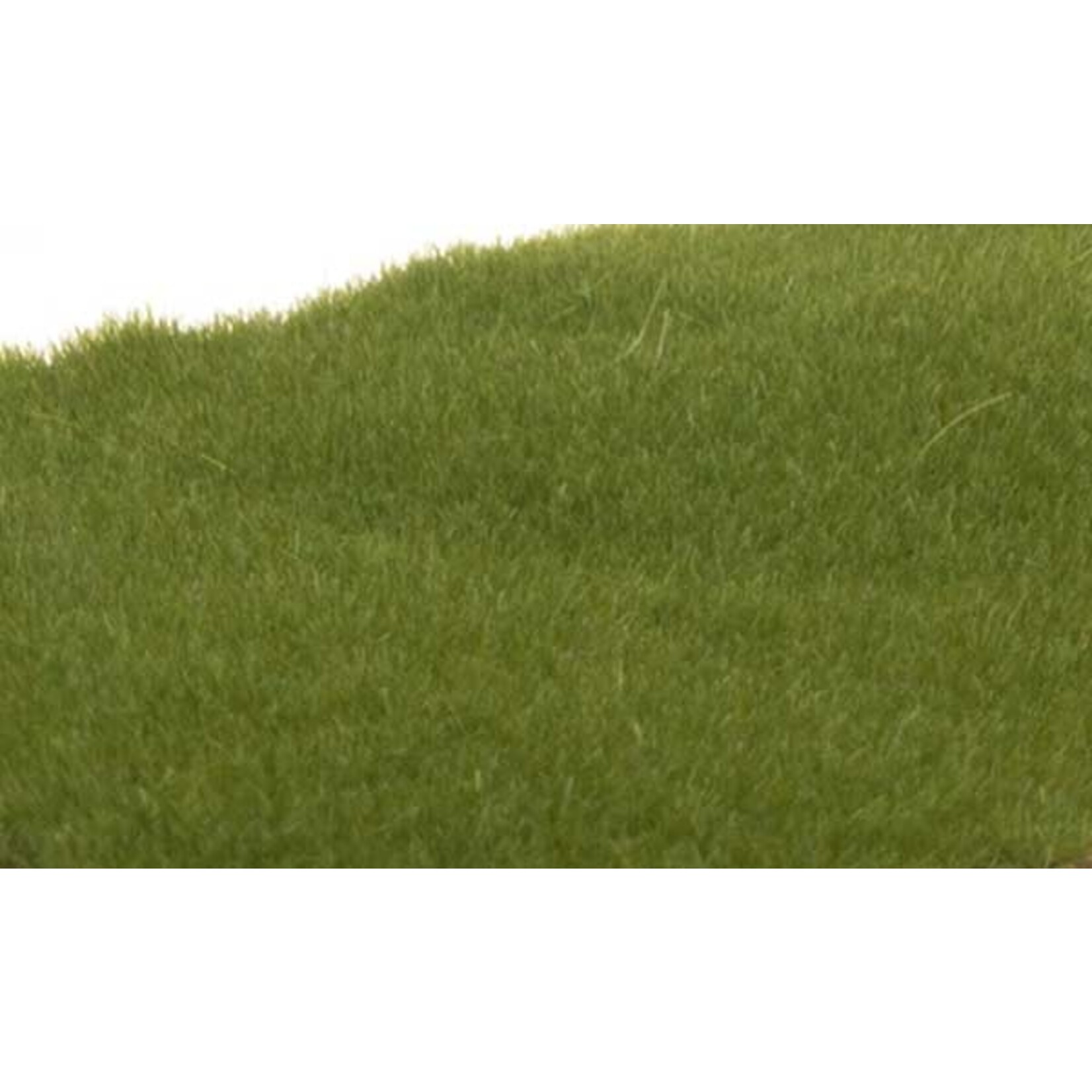 Woodland Scenics 613 Static Grass Drk Grn 2mm