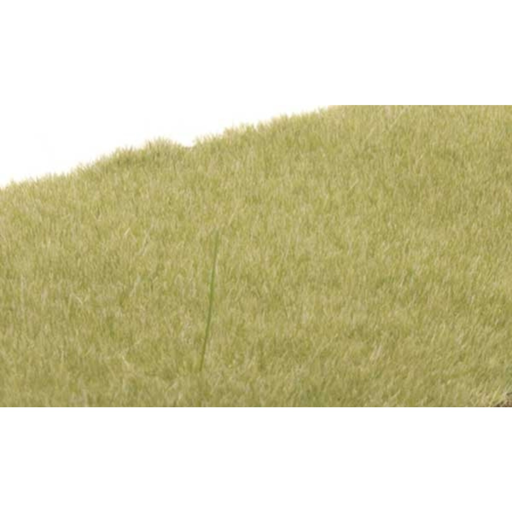 Woodland Scenics 615 Static Grass Lt Grn 2mm