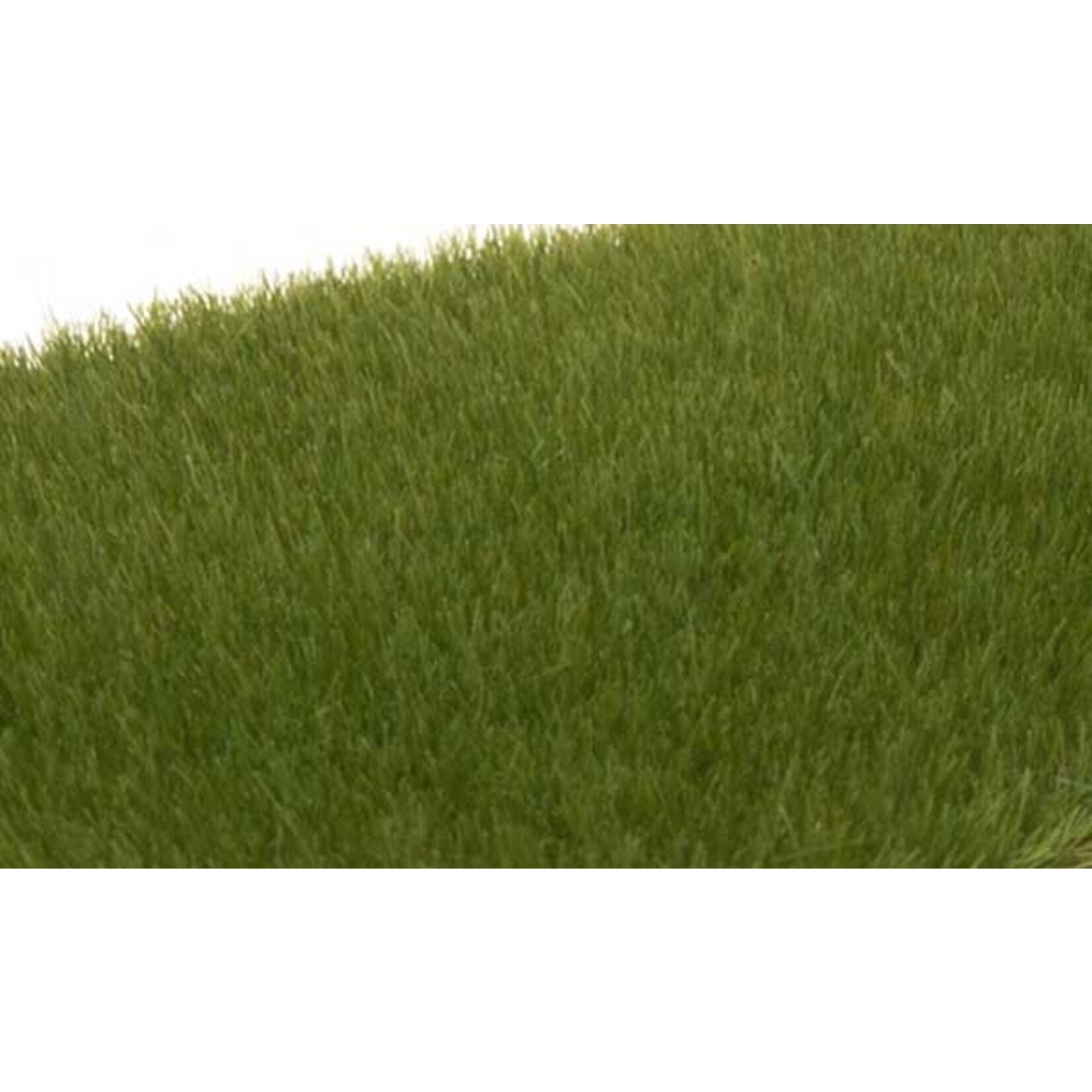 Woodland Scenics 617 Static Grass Drk Grn 4mm