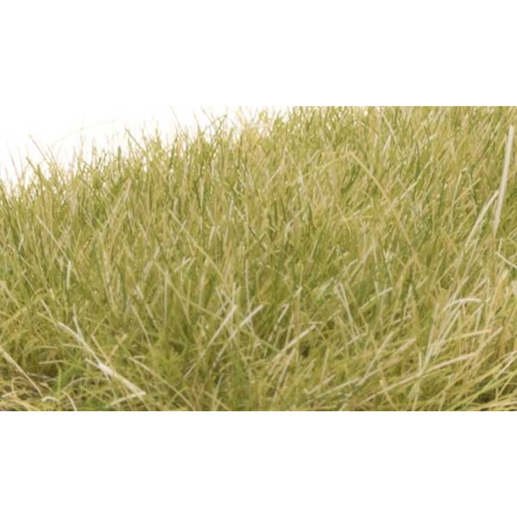 Woodland Scenics 627 Static Grass Lt Grn 12mm