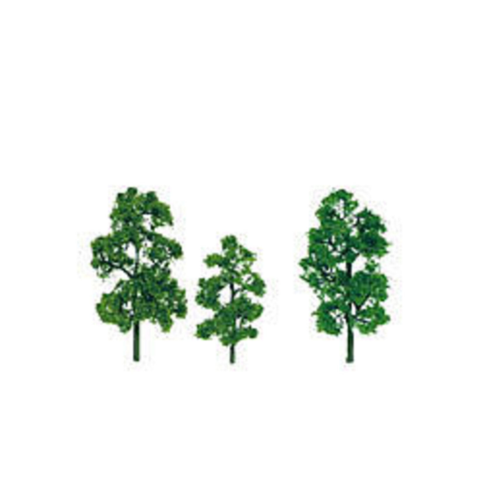 JTT 92042 N Sycamore 2''-3'' Premium/4pk
