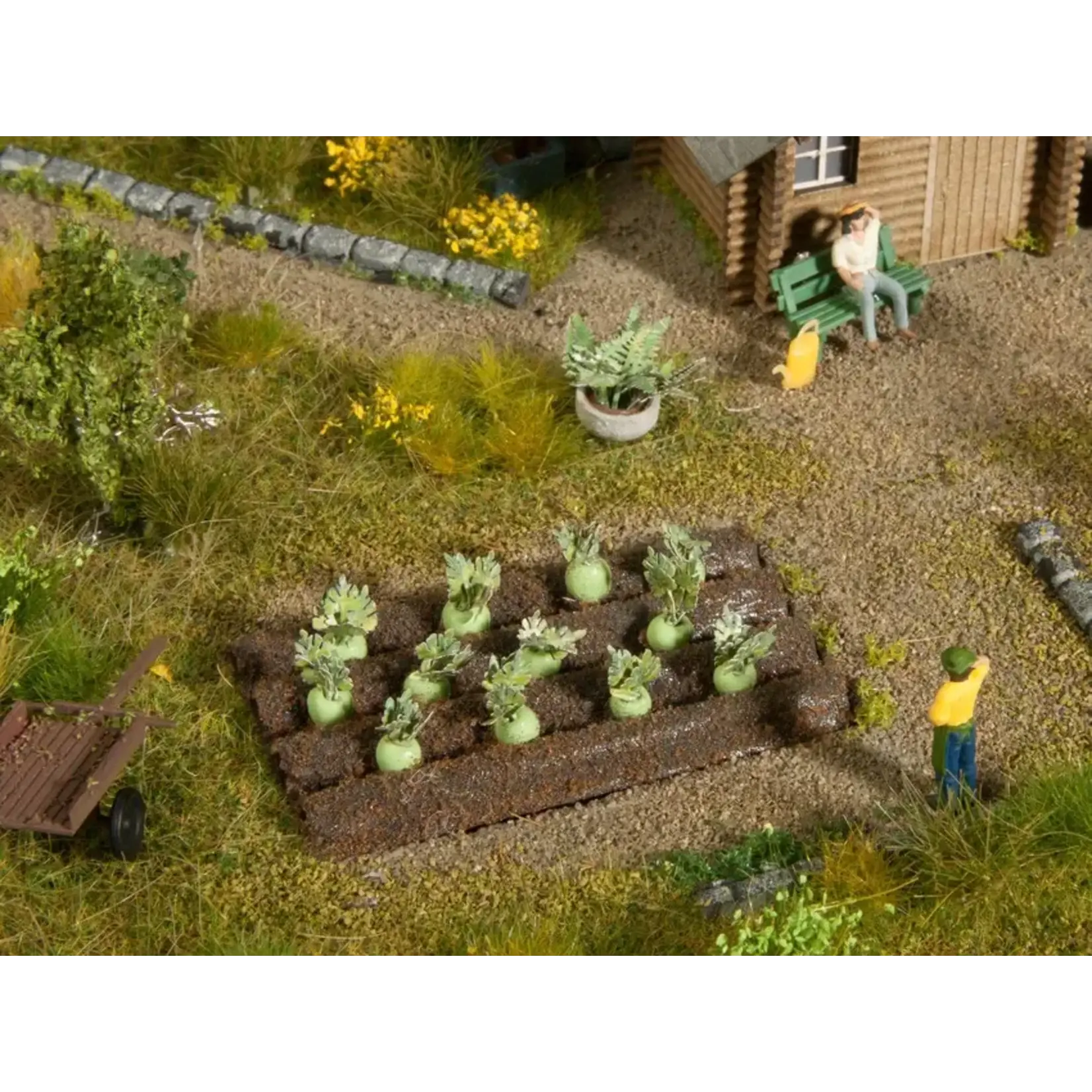 Noch 13220 HO Cabbage Turnip