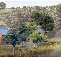 1571 23 Deciduous Trees - Mixed Green Colors