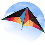 HQ Kites Delta Sport Kite