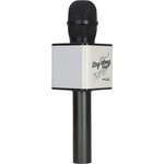 Wireless Express Sing A Long Pro 3 Karaoke Microphone - Black
