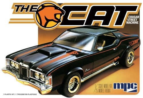 1004 1973 Mercury Cougar The Cat