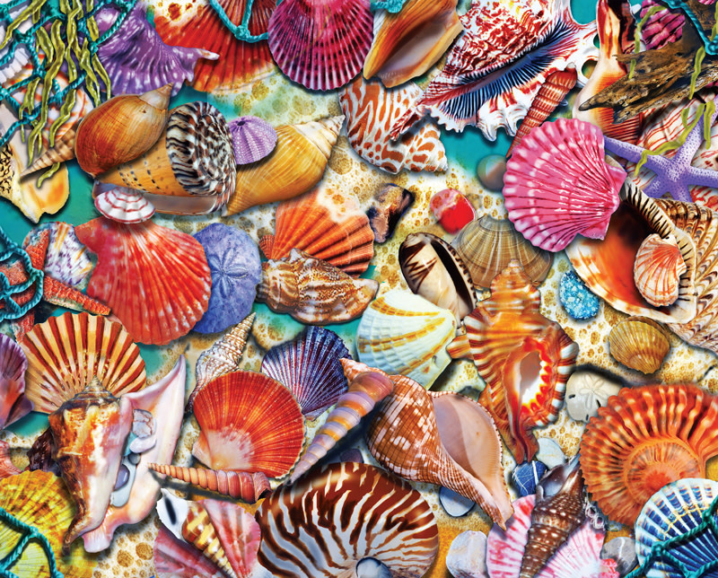 30703 Coastal Shells 1000pc Puzzle