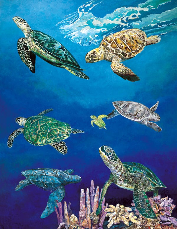 40502 Majestic Sea Turtles 550 Piece Puzzle