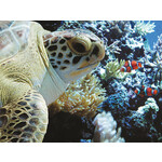 Heritage Puzzle 40555 Clowing Around 550 Piece Puzzle