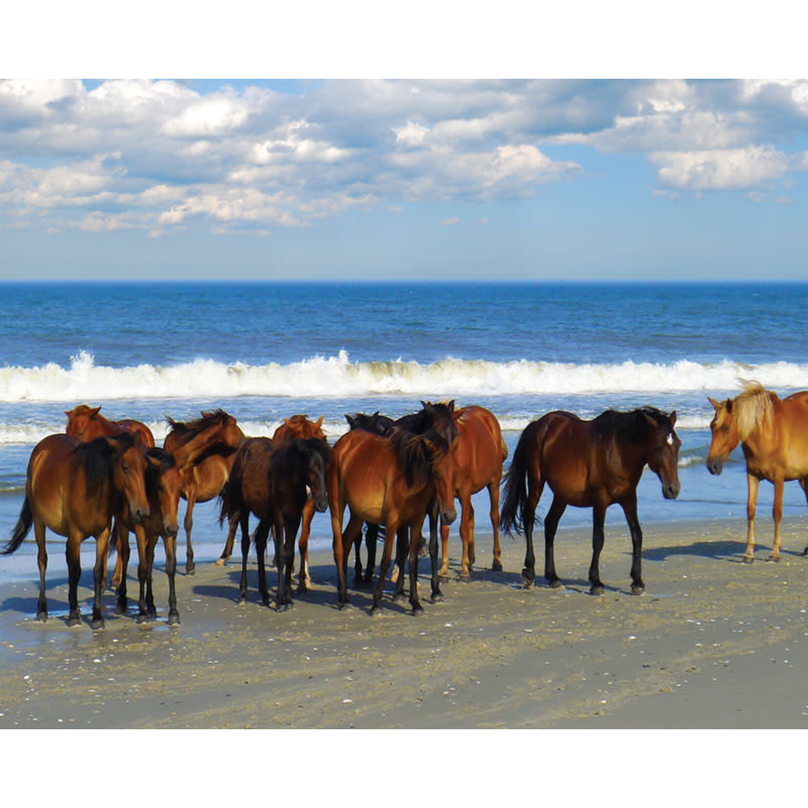 Heritage Puzzle 40583 Beach Horse Party 1000 Piece Puzzle