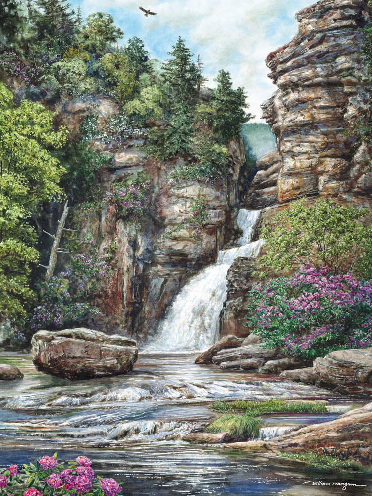 50542 Linville Falls 550pc Puzzle