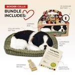 88 Unlimited Border Collie Perfect Petzz
