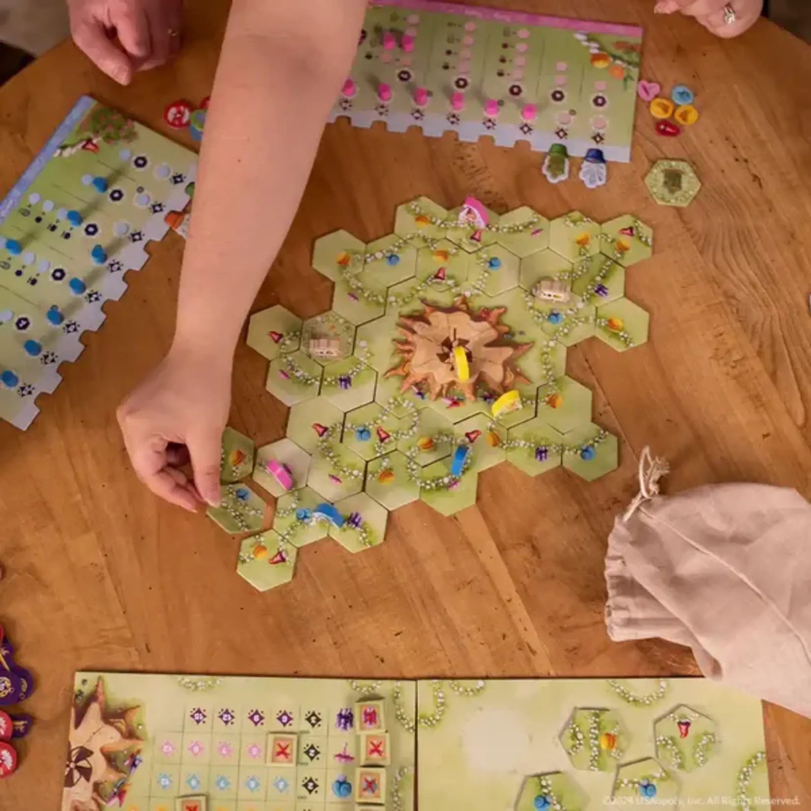 USAopoly Gnome Hollow