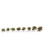 Woodland Scenics 3531 3/4"-1 1/4" Waters Edge - 8 Pack Trees