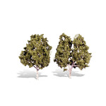 Woodland Scenics 3536 5"-6" Waters Edge Trees - 2 Pack