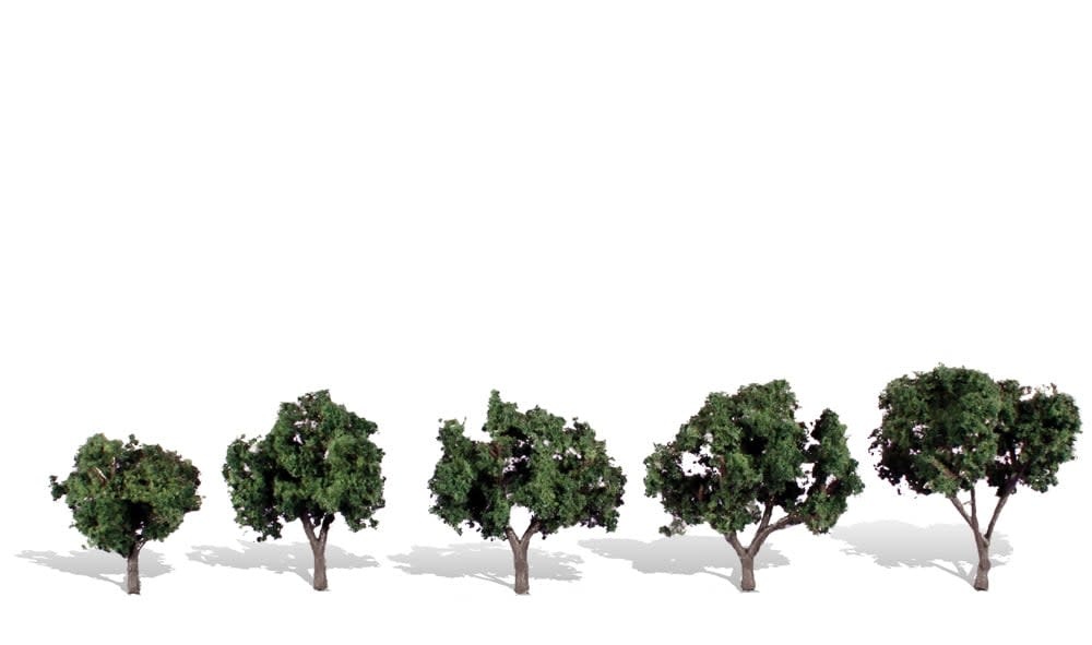 3548 1 1/4"-2" Cool Shade - 5 Pack Trees