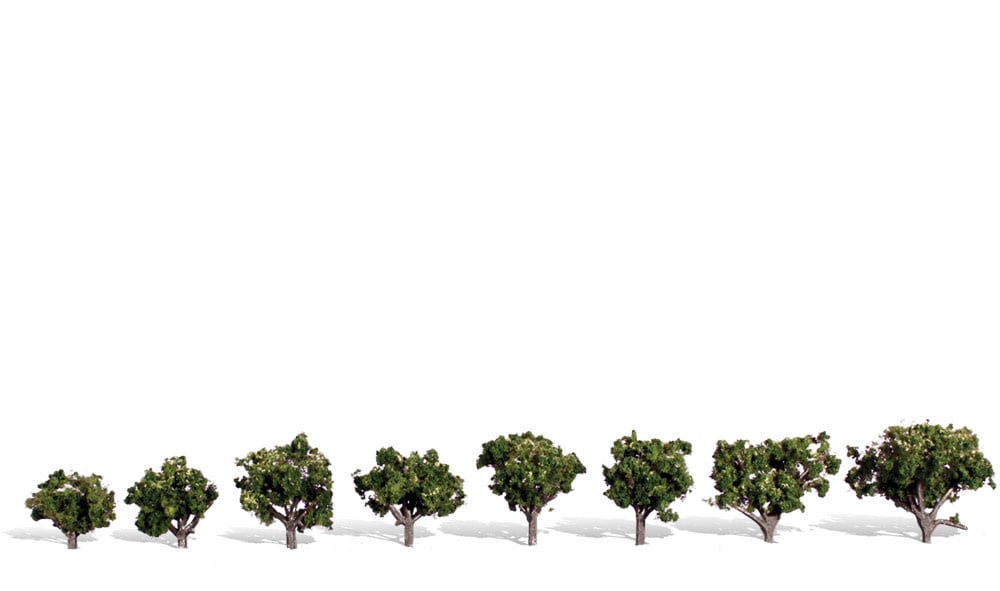 3501 3/4"-1 1/4" Sun Kissed - 8 Pack Trees