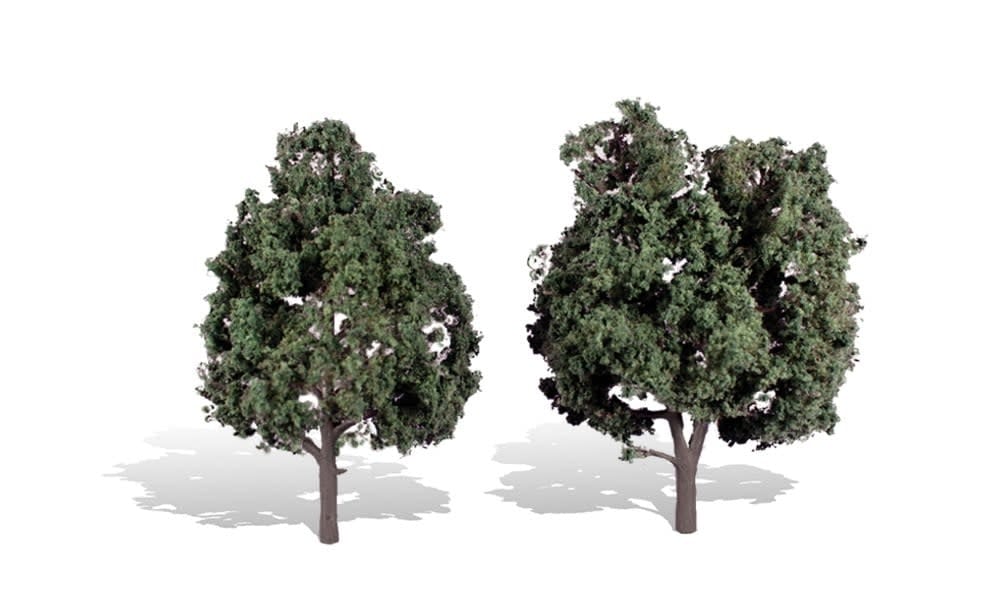 3514 5"-6" Cool Shade Tree - 2 Pack