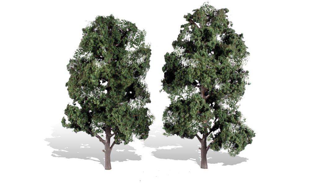 3521 8"-9" Cool Shade Trees - 2 Pack
