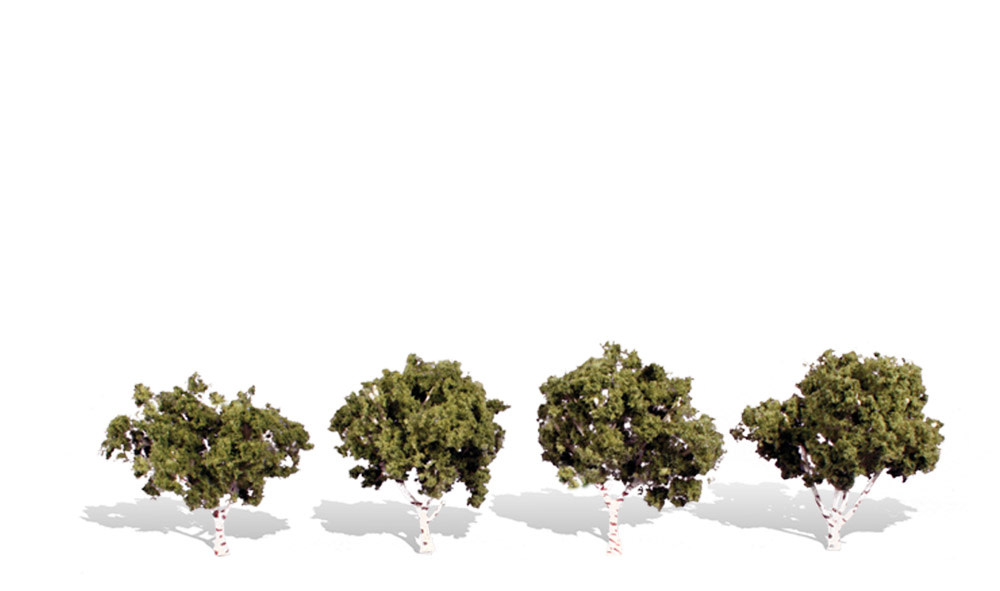 3533 2"-3" Waters Edge - 4 Pack Trees