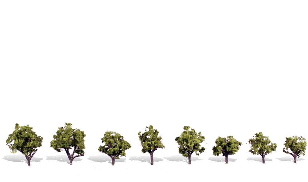 3545 3/4"-1 1/4 Early Light 8 Pack Trees