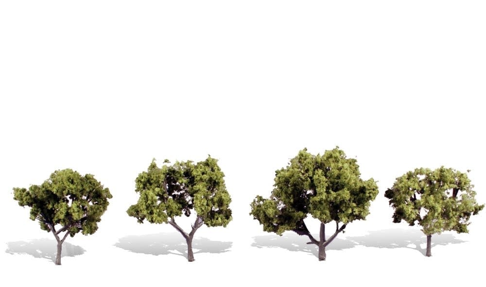3503 2"-3" Early Light - 4 Pack Trees