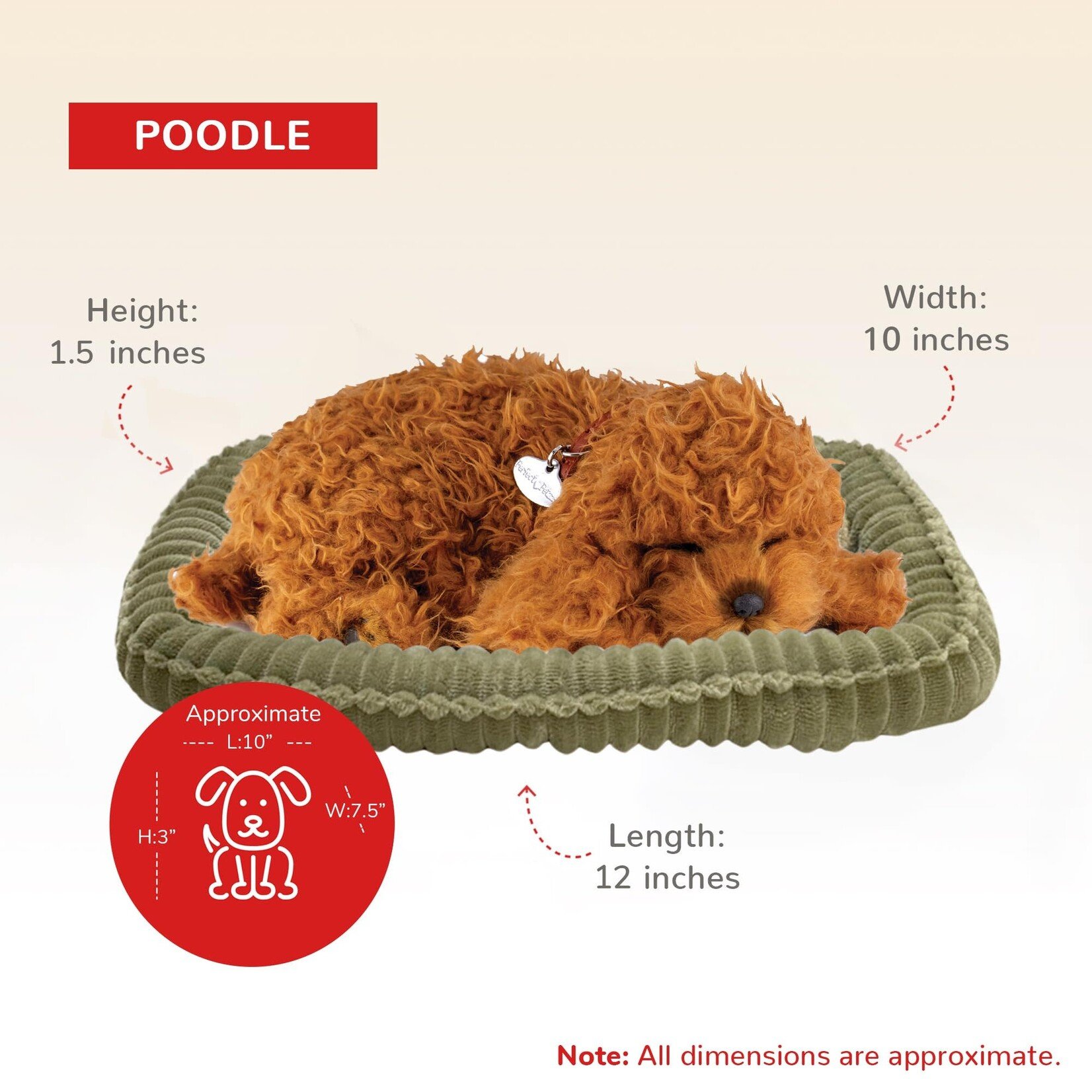 88 Unlimited Toy Poodle Perfect Petzz