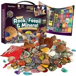 Dan&Darci Mega Rock, Fossil & Mineral Collection