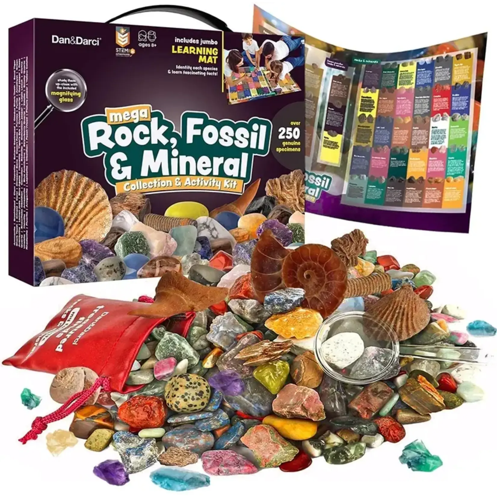 Dan&Darci Mega Rock, Fossil & Mineral Collection