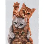 Camelot Kitten Ambush Diamond Art