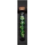 Transparent Polyhedral D&D Dice Set - 7 Die in Fantasy Potion Flask - Green
