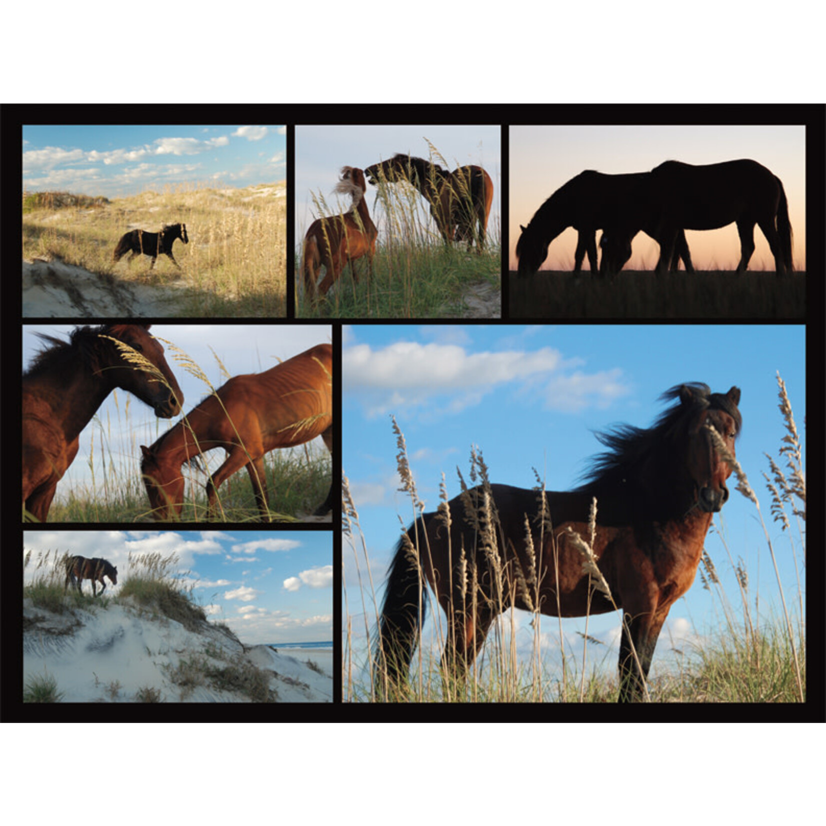 Heritage Puzzle 40569 Wild Horses 550 Piece Puzzle