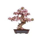 Hands Craft Sakura Bonsai Wooden Puzzle
