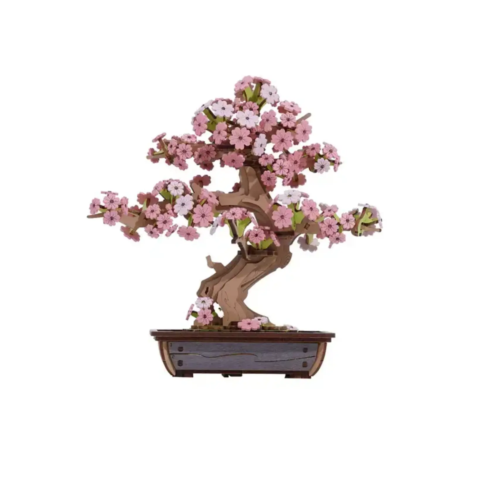 Hands Craft Sakura Bonsai Wooden Puzzle