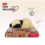 88 Unlimited Mini Pug Perfect Petzzz