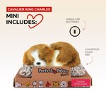 88 Unlimited Mini Cavalier King Charles Perfect Petzzz
